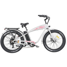 High Quality 48V 750W Fat Tire Electric Mountain Bike